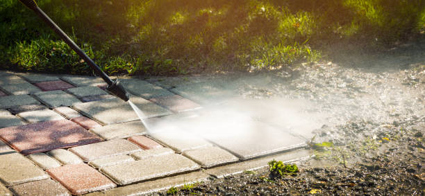 Best Soft Washing  in Banner Hill, TN